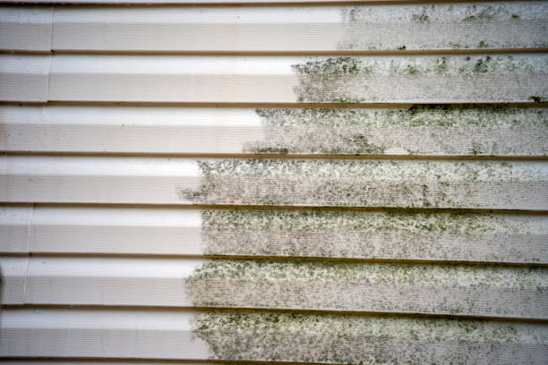 Best Property Management Cleanouts  in Vero Lake Estates, FL